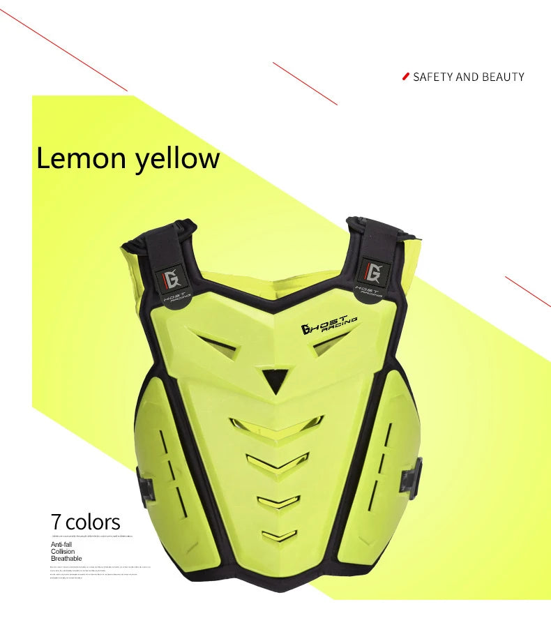 Motorcycle armor and fall protection chest and back