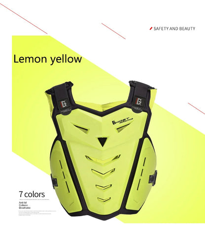 Motorcycle armor and fall protection chest and back